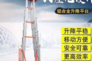 無錫雙桅鋁合金升降機   生產廠家